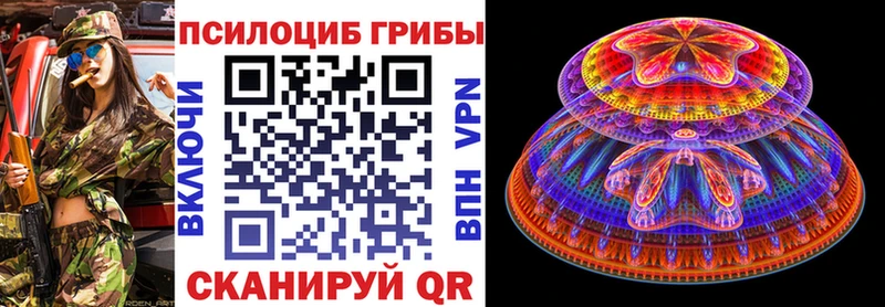 Галлюциногенные грибы Psilocybine cubensis  Апатиты 