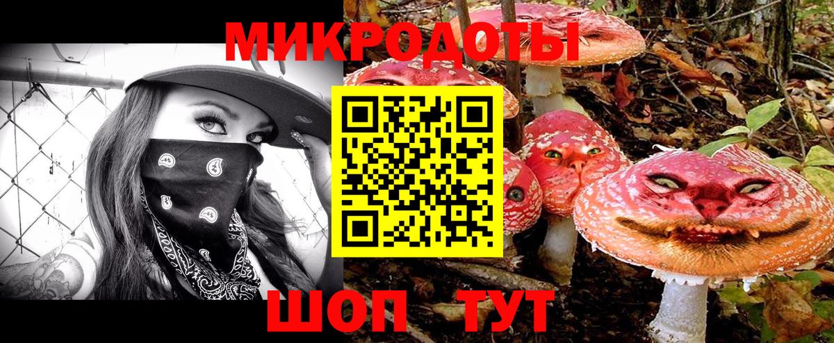 Галлюциногенные грибы мицелий Апатиты