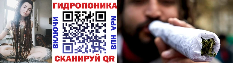 darknet Telegram  Апатиты  Конопля SATIVA & INDICA 